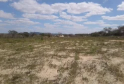 Arrendamento de 9 hectares em Soledade-PB para Usina Solar | Alta Radiação e Próximo à Subestação