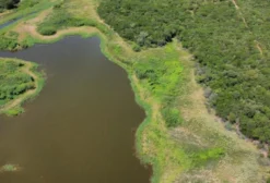 Lote de 3 Propriedades Rurais no Sertão da Paraíba – Patos/PB – 1.329 ha