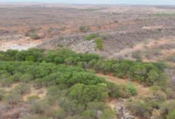 Sítio com Potencial Minerário - 180 Hectares em Parari/PB
