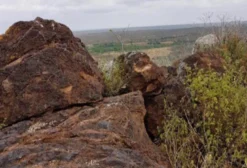 Jazida de Minério de Ferro – 1.906 ha com Teor Superior a 60% em São Domingos do Cariri/PB