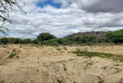 Fazenda Letreiro à venda em Picuí-PB – 490 hectares com infraestrutura completa