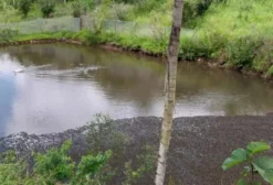 Chácara Rural com Fruteiras e Açudes à Venda em São Lourenço da Mata - PE