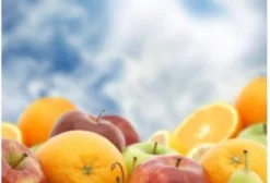 Indústria de Polpa de Frutas Congeladas à Venda - Recife/PE