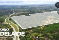 Área Rural de 34,8 Hectares em Moreno/PE – Margem da BR-232