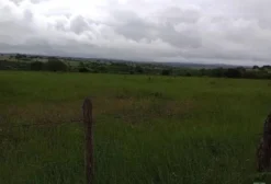 Sítio de 12 hectares à venda em Garanhuns, PE - Com casa sede, curral e pastagens