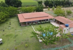Fazenda Produtora de Uva e Manga em Petrolina – PE à Venda