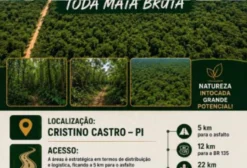 Fazenda em Cristino Castro (PI) – 210 hectares, documentação completa