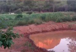 Fazenda de 1.850 Hectares em Júlio Borges - PI - Ótima Oportunidade para Agropecuária