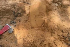 Fazenda de 1.784 Hectares com Dupla Aptidão para Agricultura e Pecuária em Teresina - PI