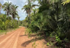 Fazenda de 345 Hectares para Agricultura em Boqueirão do Piauí - PI