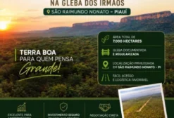 7 Hectares de Terra Rural em São Raimundo Nonato - PI