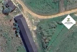 Fazenda de Eucalipto com Serraria e Sede – Adrianópolis/PR