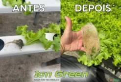 Ionizador ION GREEN para Hidroponia – Elimina Pythium, Fungos, Algas e Biofilme