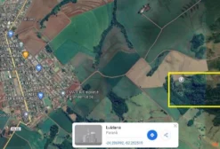 Sítio com 42,12 Hectares em Luiziana – PR à Venda