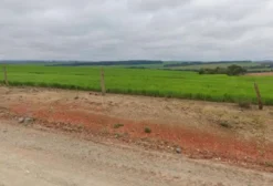 Terreno Rural de 40 Alqueires Mecanizável – Núcleo Leiteiro da Lapa, PR