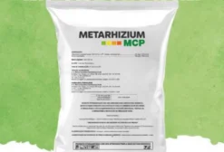 Inseticida Microbiológico Metharizium MCP 1kg