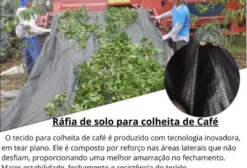 Rafia para Colheita de Café em Máquina