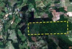 Área de Mata Nativa 28 Hectares - Xavantina/SC