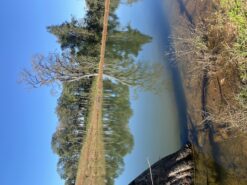 terreno a venda 193,6 hectares