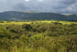 Propriedade Rural na Serra da Canastra – 876 hectares em Delfinópolis – MG