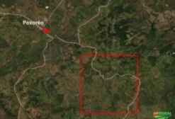 Jazida de Ferro em Rondonópolis - MT à Venda | 200 Milhões de Toneladas