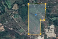 Jazida de Calcário Dolomítico para Corretivo de Solo – 49,38 hectares em Santa Filomena, PI