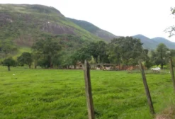 Propriedade Rural com Jazida de Granito e Quartzo em Japeri – RJ