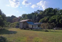 Sítio em Rio Preto da Eva - AM: 7,5 Hectares com Açaí, Castanha e Casa de 4 Quartos