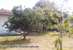 Sítio na Ilha de Itaparica com Casa e Área para Criação