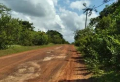 Sítio com Área de Caatinga à Venda em Juazeiro, BA - 11 Hectares