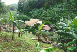 Sítio com Chalé Mobiliado em Aratuba/CE – 4,2 Hectares