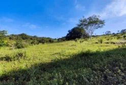 Sítio de 76 Hectares em Barro Alto, Goiás – Venda