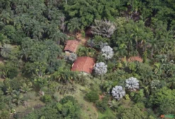 Sítio com 17 Hectares em Itapirapuã – GO