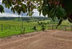 Sítio de 2 Alqueires em Silvolândia - São Luís de Montes Belos - GO