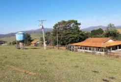 Sítio Palmital 11,8 ha em Alfenas/MG – Infraestrutura Completa para Café, Leite e Lazer