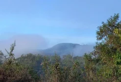 Reserva Ambiental Ecovive – Propriedade Rural em Teófilo Otoni/MG (Distrito de Valão, Poté) | 45 Hectares