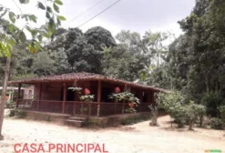 Sítio com Plantação Comercial de Açaí, Cupuaçu e Pupunha em Santa Isabel do Pará - PA