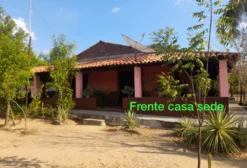 Fazenda 70 Hectares para Soja e Pecuária em Floriano – PI
