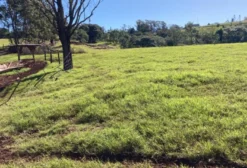 Sítio com 5 alqueires em Céu Azul - PR, próximo à BR-277