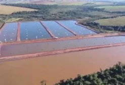 Sítio de Piscicultura com 13,45 Alqueires em Iporã - PR