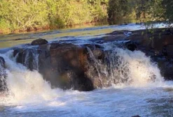 Área de Terra de 23,92 Alqueires com Casa e Infraestrutura em São Pedro do Iguaçu - PR