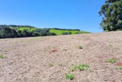 Sítio com 79,2 Hectares à Venda em Catanduvas - PR