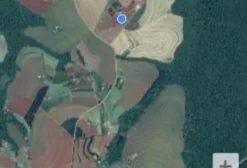Sítio de 33,5 Alqueires Mecanizado com Estrutura para Leite, Gado Holandês e Silos Metálicos em Ibema/PR