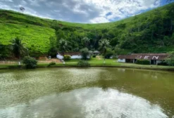 Haras Completo com Lago e Baias em Paracambi – RJ