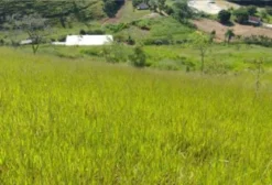Sítio Toca do Leão – 39 hectares em Cordeiro, RJ