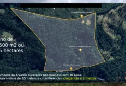 Sítio Marimbondo em Visconde de Mauá - RJ com Eucalipto e Mata Atlântica