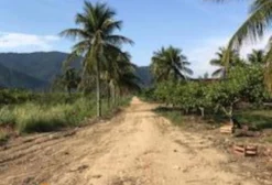Sítio com 14,1 hectares em Itaguaí, RJ – Excelente localização logística e potencial para agricultura, pecuária ou loteamento