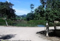 Sítio em Teresópolis – 81 Hectares com Casa, Lagos e Agricultura Ativa