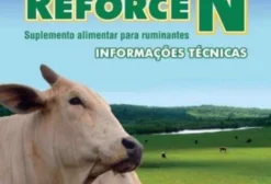 Ureia Pecuária Reforce N – Suplemento para Nutrição Animal – Tonelada