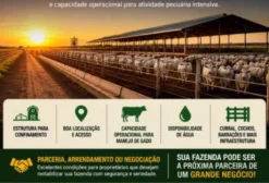Procura-se Estrutura para Confinamento de Gado – Locação, Parceria ou Boitel